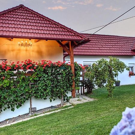 Holiday Home Rojko Strigova Ngoại thất bức ảnh